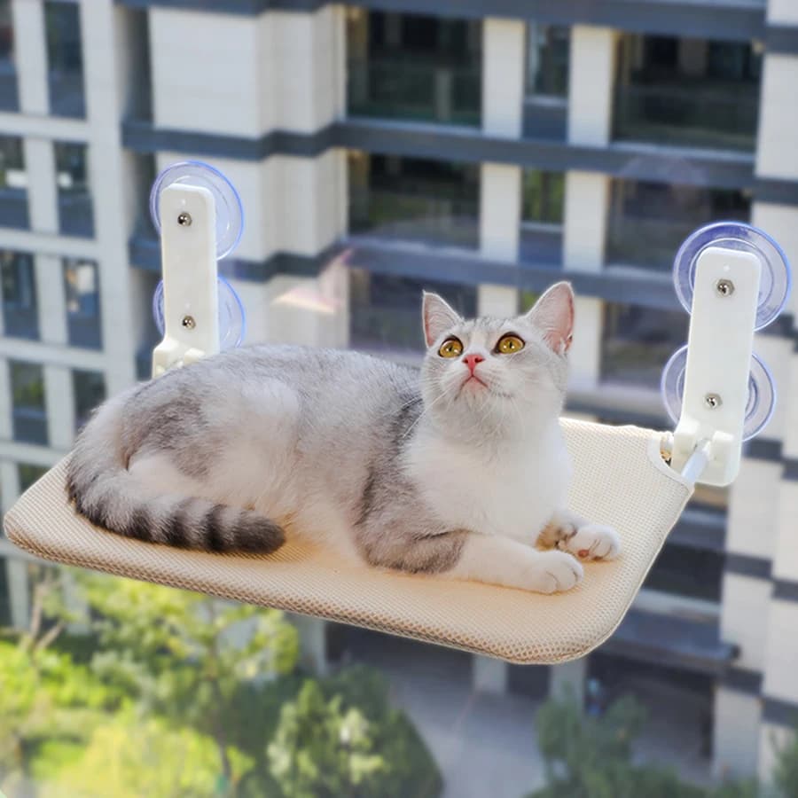 조립 무료 접이식 고양이 해먹 플러시 메쉬 고양이 창 벽 점프 플랫폼 이중 흡입 컵 고양이 해먹