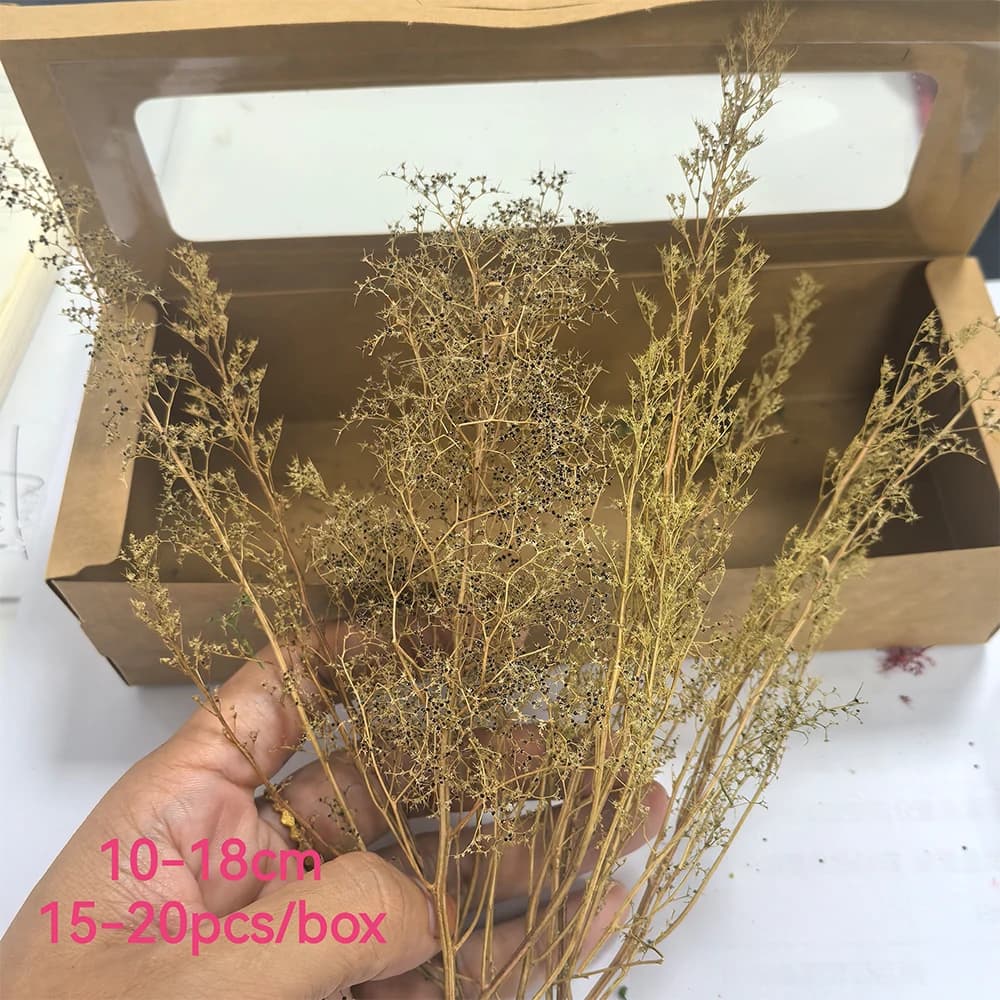 12-20CM 소형 Tribulus 모델 시뮬레이션 트리 장면 식생 부시 HO N 철도 기차 군사 Wargame Diorama 1Box