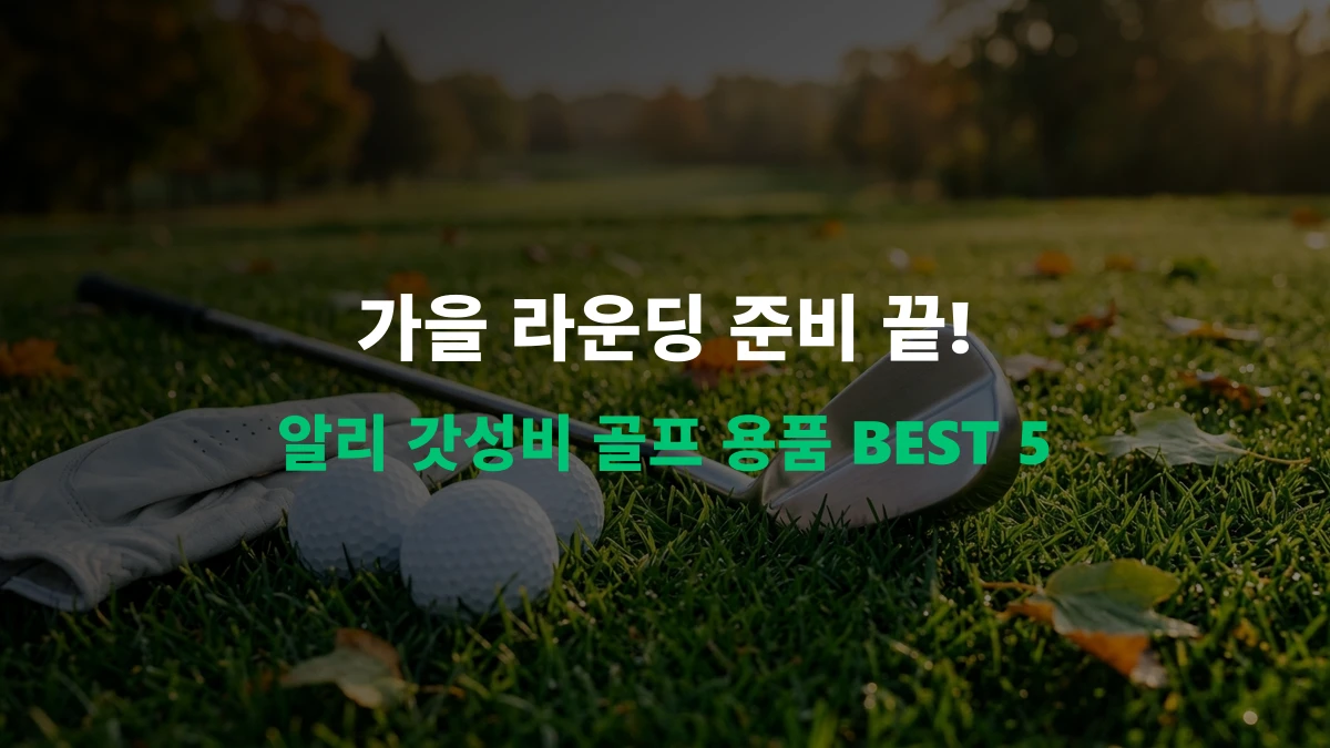 [알리 추천템] 가을 골프 시즌 준비 끝! 갓성비 골프 용품 BEST 5