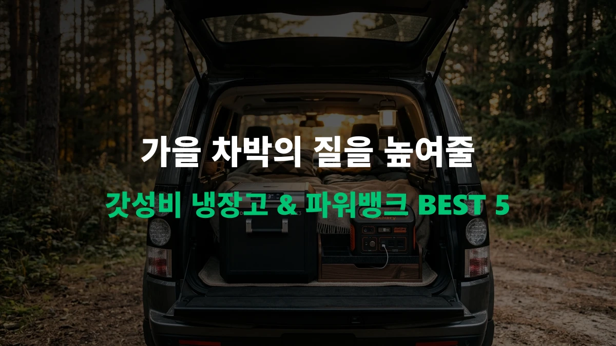 [알리 추천템] 차박/캠핑 필수품! 갓성비 차량용 냉장고 & 파워뱅크 BEST 5