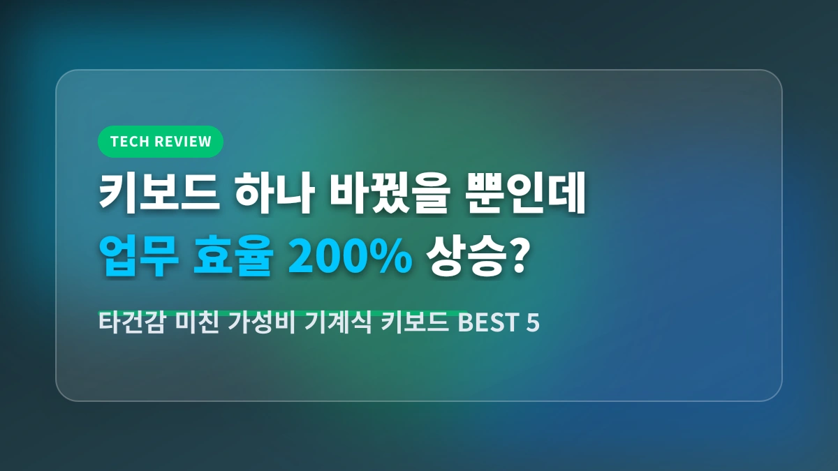 커스텀 키보드 입문 종결! 타건감 미친 알리 가성비 기계식 키보드 BEST 5