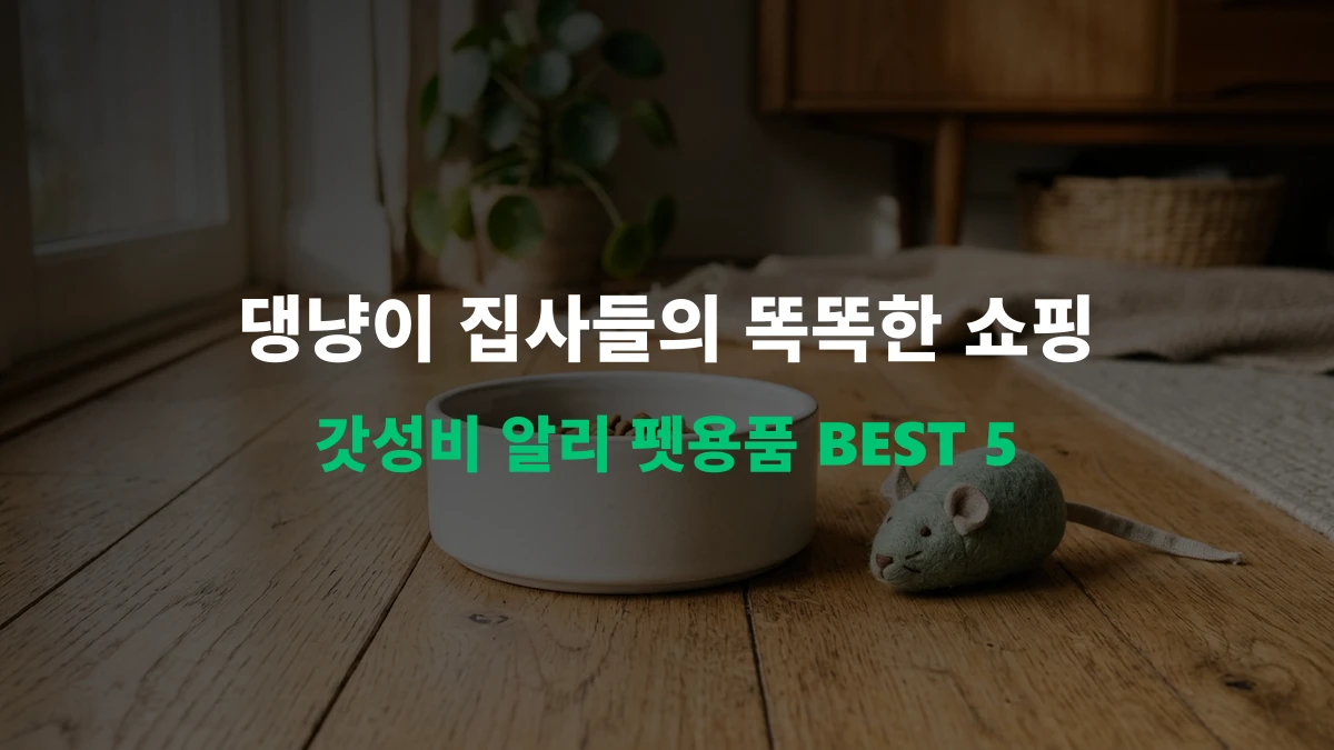 [알리 추천템] 댕냥이 집사 주목! 갓성비 반려동물(펫) 용품 BEST 5