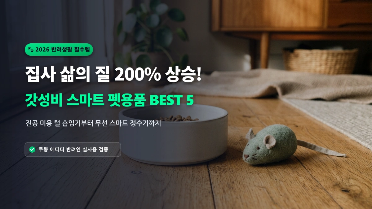[알리 추천템] 집사님들 환호! 털 날림·모래 사막화 싹 잡는 갓성비 펫용품 BEST 5
