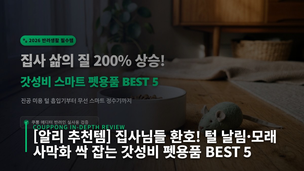 [알리 추천템] 집사님들 환호! 털 날림·모래 사막화 싹 잡는 갓성비 펫용품 BEST 5