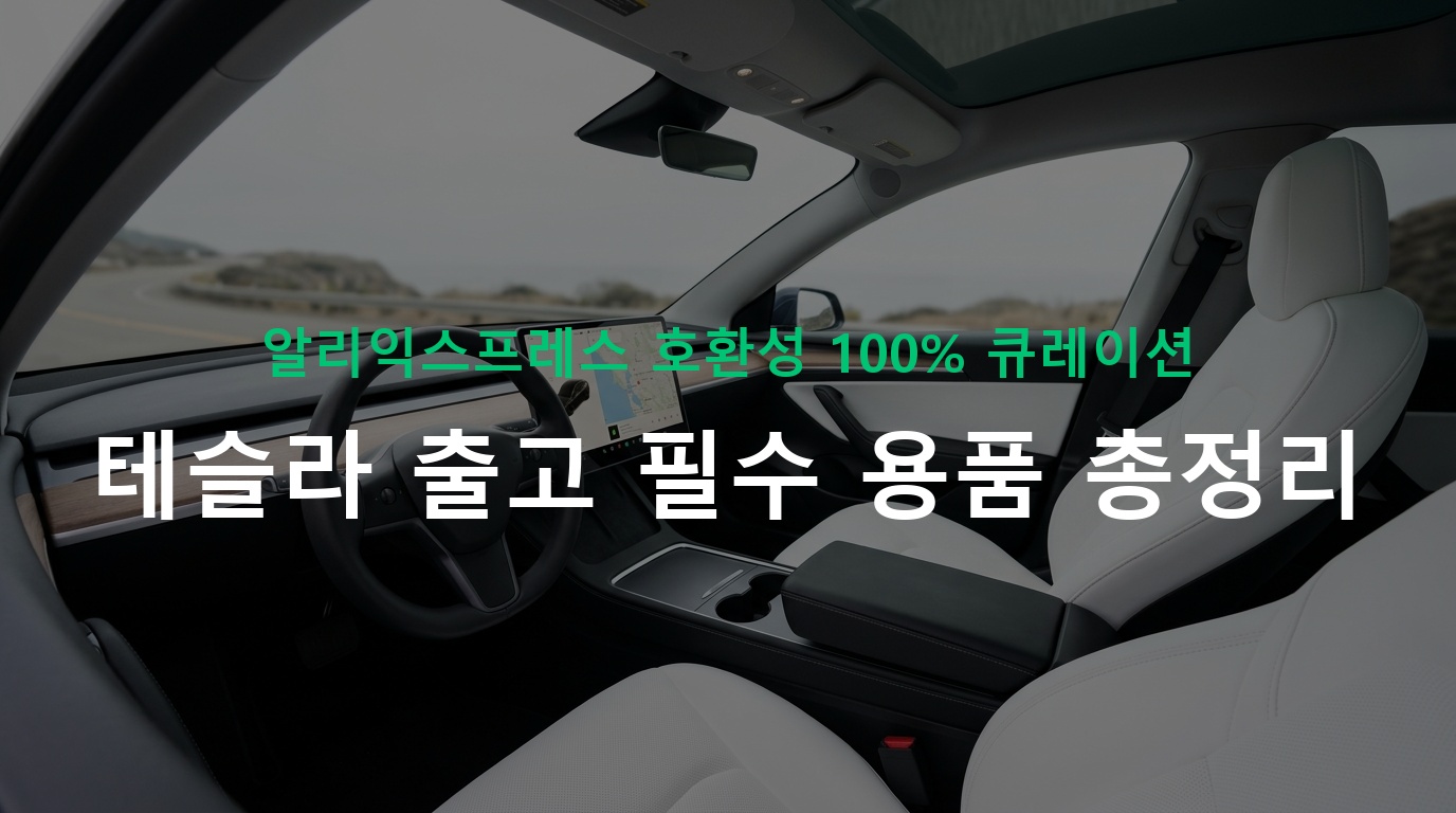 테슬라 출고 하셨나요? 알리익스프레스 차종별 호환 용품 한 번에 찾는 방법
