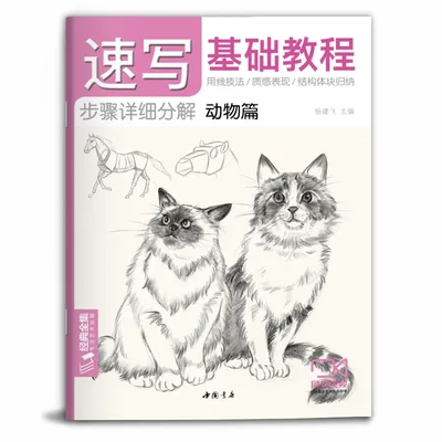 기본 스케치 튜토리얼 도서 식물 동물 풍경 그림 얼굴 스케치 교과서 제로베이스 자율 학습 스케치 기술 디테일 도서