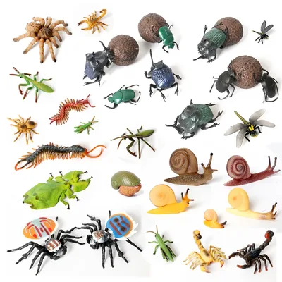 현실적인 곤충 동물 거름 딱정벌레, Maratus Volans, 전갈, 사마귀 달팽이 모델 피규어 미니어처 교육 컬렉션 완구