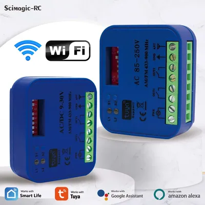 2CH Tuya WiFi 범용 차고 문 원격 제어 수신기 433MHz 868MHz 스위치 DC AC 9-30V 85-250V 스마트 라이프 Alexa