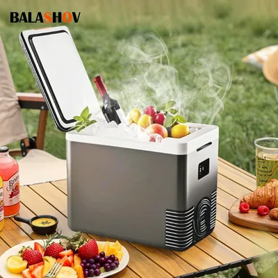 220V 가정용 냉장고 12V 자동차 냉장고 야외 냉동고 히터 10L 미니 자동 쿨러 및 따뜻한 전기 냉장고 휴대용 아이스 박스