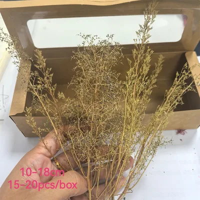 12-20CM 소형 Tribulus 모델 시뮬레이션 트리 장면 식생 부시 HO N 철도 기차 군사 Wargame Diorama 1Box