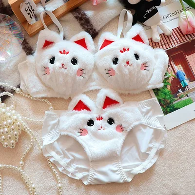 일본 귀여운 소녀 플러시 속옷 가을과 겨울 일본식 브라 와이어 없는 따뜻한 속옷