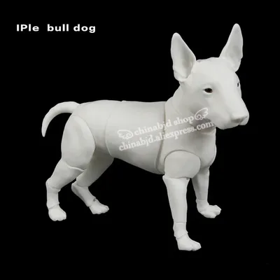 구체관절 인형Iplehouse ip 황소 개 애완 동물 1/6 bjd 인형 sd 공동 인형 oueneifs 교육 완구
